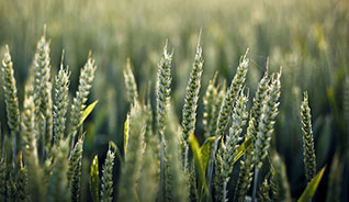 云呼试用三分钟